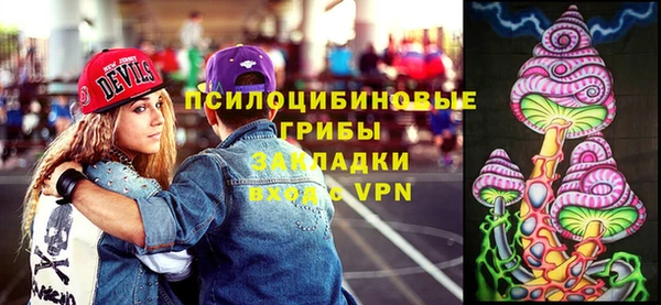тгк Мегион
