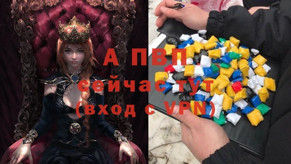 тгк Мегион