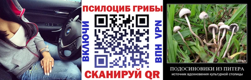 Псилоцибиновые грибы мухоморы  Шагонар 